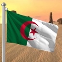Hoist flag