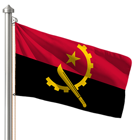 Hoist flag