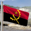 Hoist flag