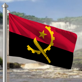 Hoist flag