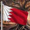 Hoist flag