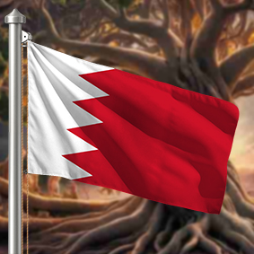 Hoist flag