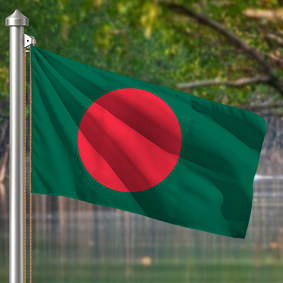 Hoist flag