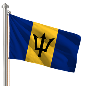 Hoist flag