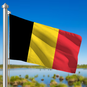 Hoist flag