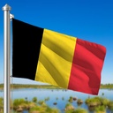 Hoist flag