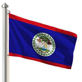 Hoist flag