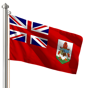 Hoist flag