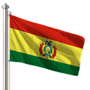 Hoist flag