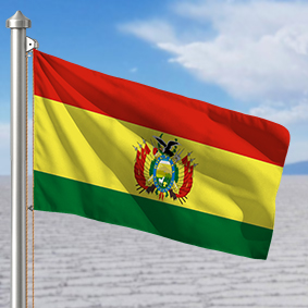 Hoist flag