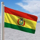 Hoist flag