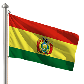 Hoist flag