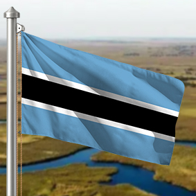 Hoist flag