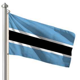 Hoist flag