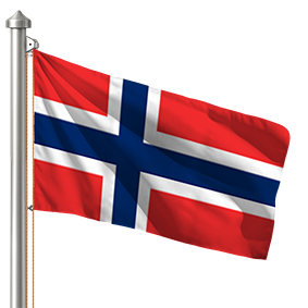Hoist flag