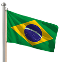 Hoist flag