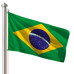 Hoist flag