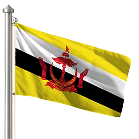 Hoist flag