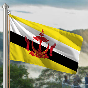 Hoist flag