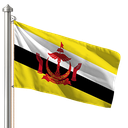Hoist flag