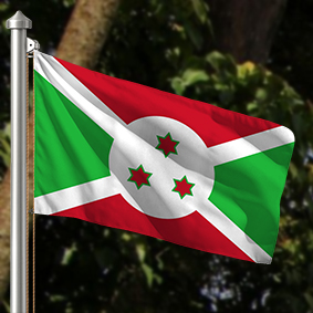 Hoist flag