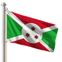 Hoist flag