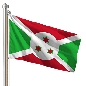 Hoist flag