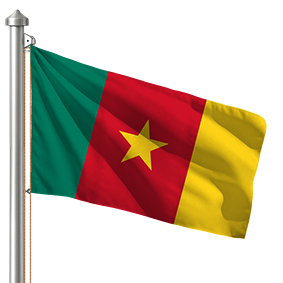 Hoist flag