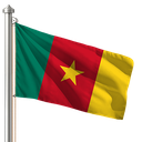 Hoist flag
