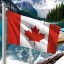 Hoist flag