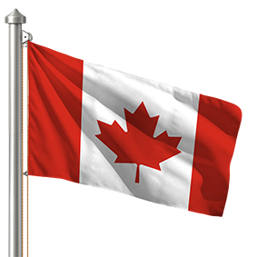 Hoist flag