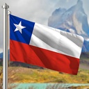 Hoist flag