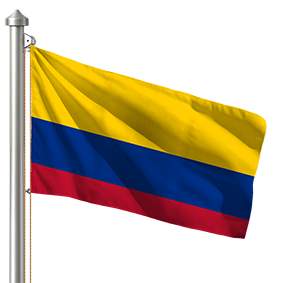 Hoist flag