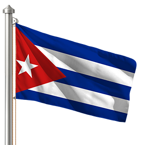 Hoist flag
