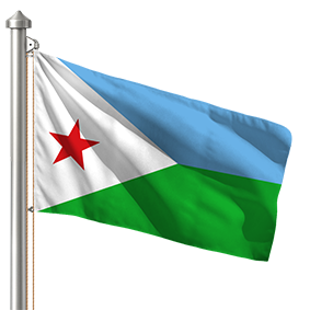 Hoist flag
