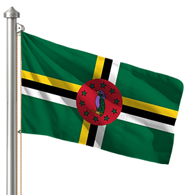 Hoist flag