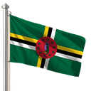 Hoist flag
