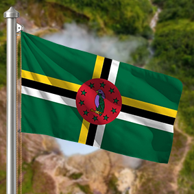 Hoist flag