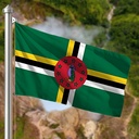 Hoist flag
