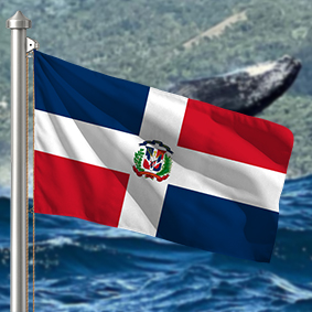 Hoist flag