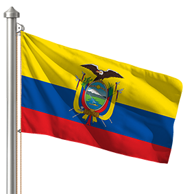 Hoist flag