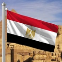Hoist flag