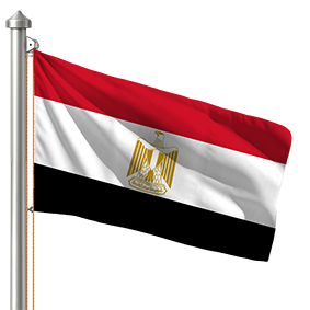Hoist flag