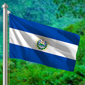 Hoist flag