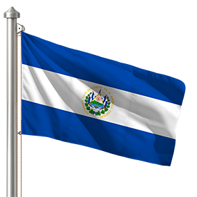 Hoist flag