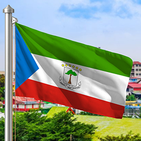 Hoist flag