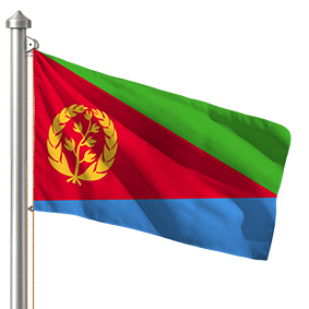 Hoist flag