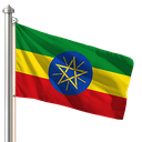 Hoist flag
