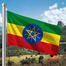 Hoist flag