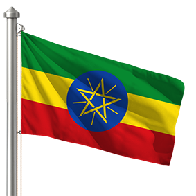 Hoist flag